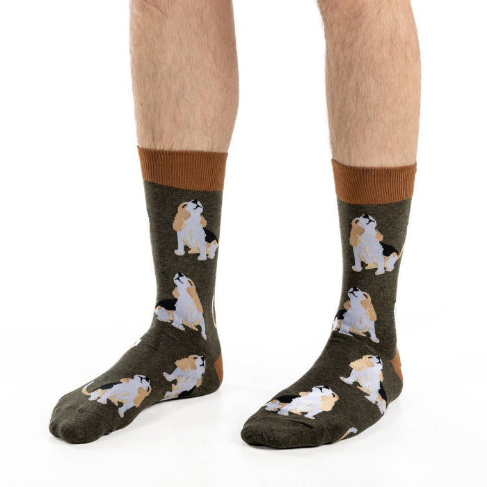 Men's Beagle Dog Socks