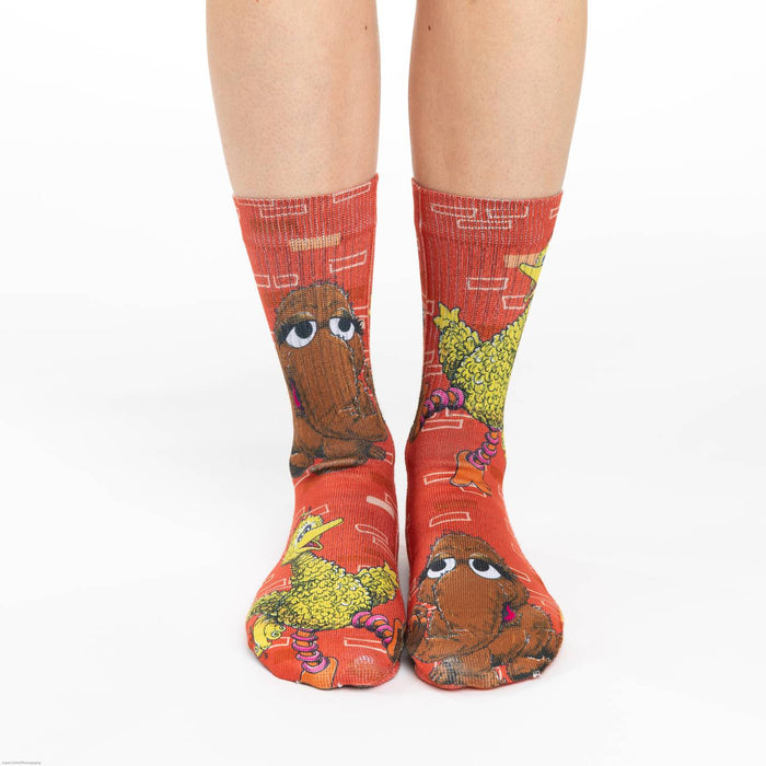 Women's Sesame Street, Big Bird and Snuffleupagus Socks