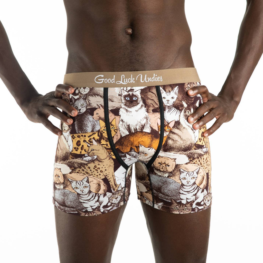 Cute Cat Themed Underwear Briefs FREE SHIP USA The Great Cat Store