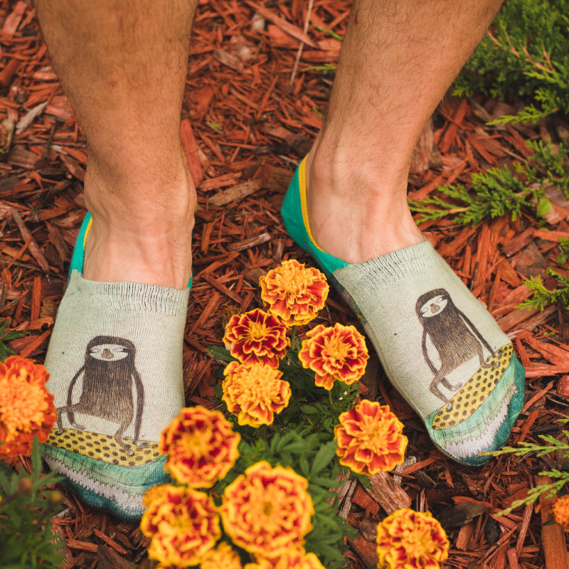 Men's No-Show Invisible Socks
