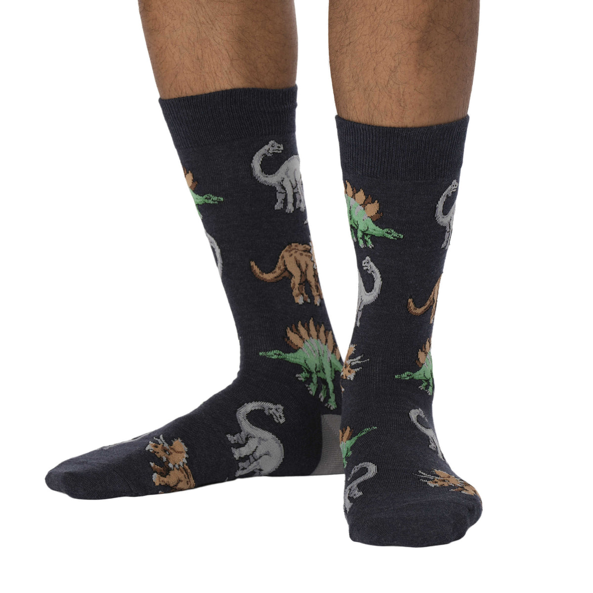 Men's Jurassic Dinosaurs Socks