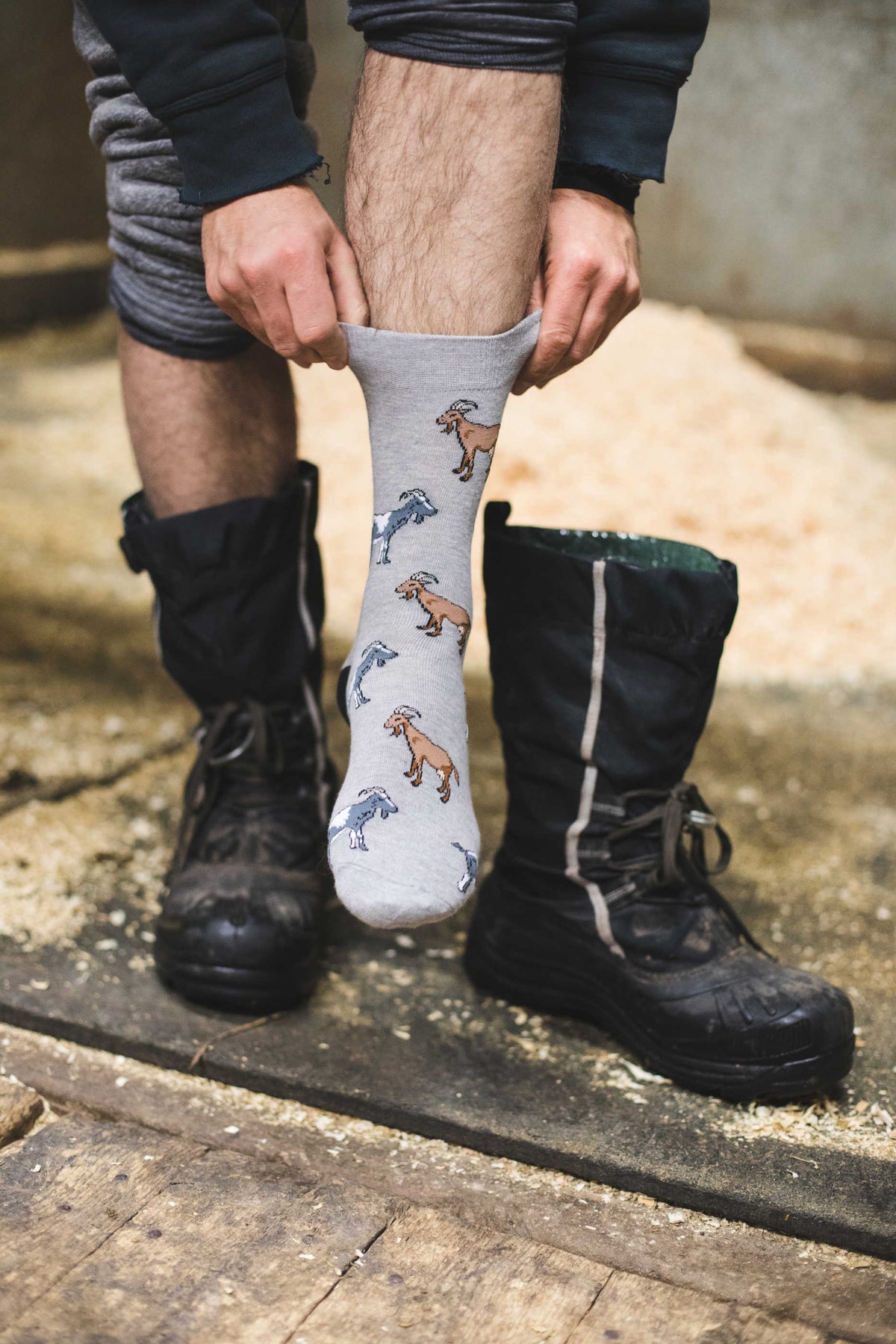 Men's Goats Socks
