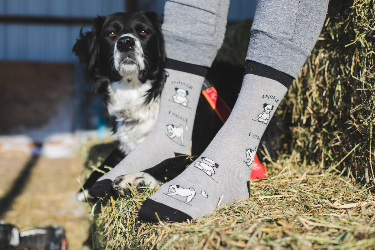 Men's Yoga Pug Socks