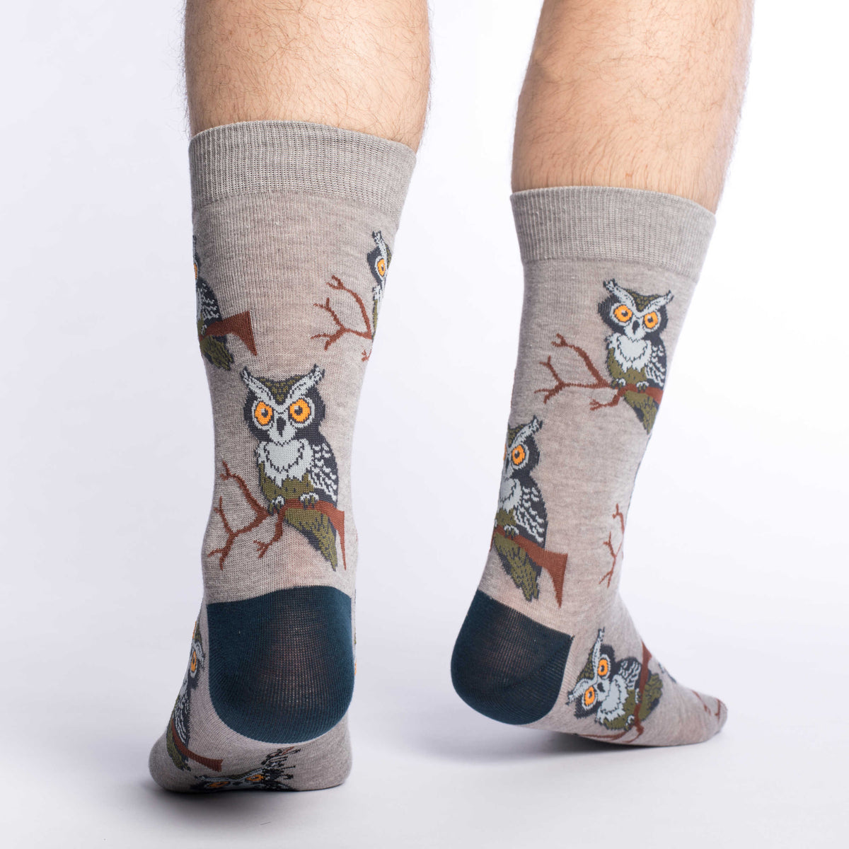 Men's Perching Owls Socks