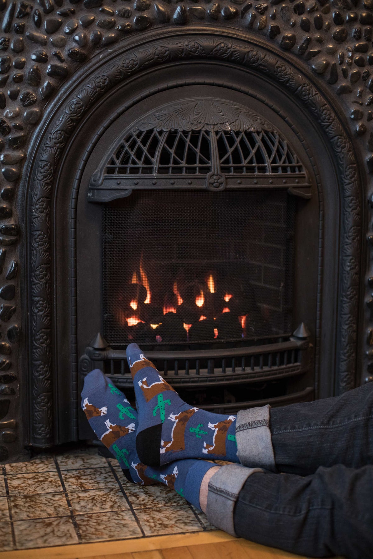 Men's Cactus Cow Socks