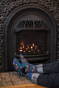 Men's Cactus Cow Socks