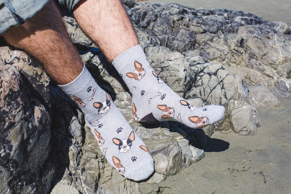 Men's French Bulldog Socks