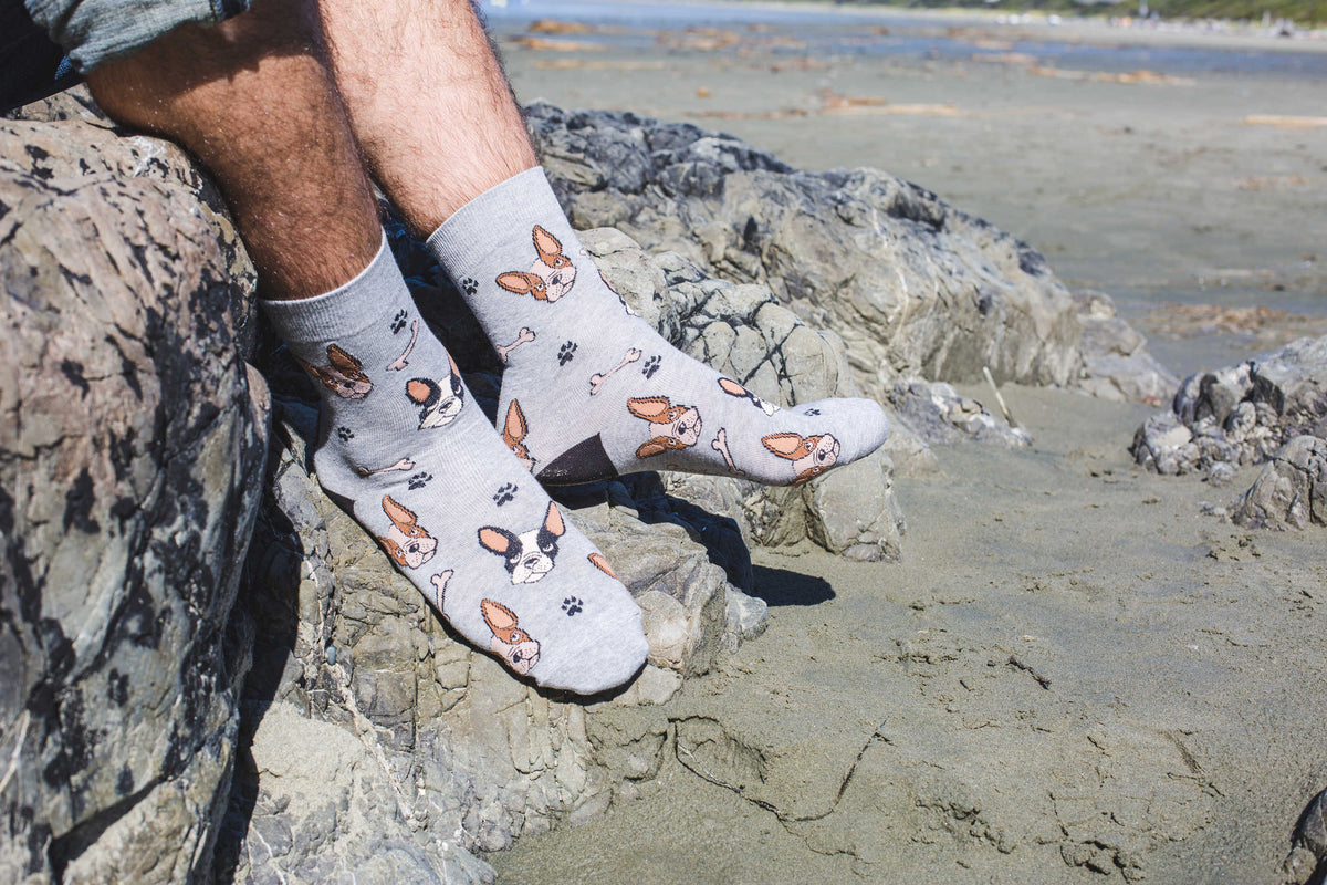 Men's French Bulldog Socks