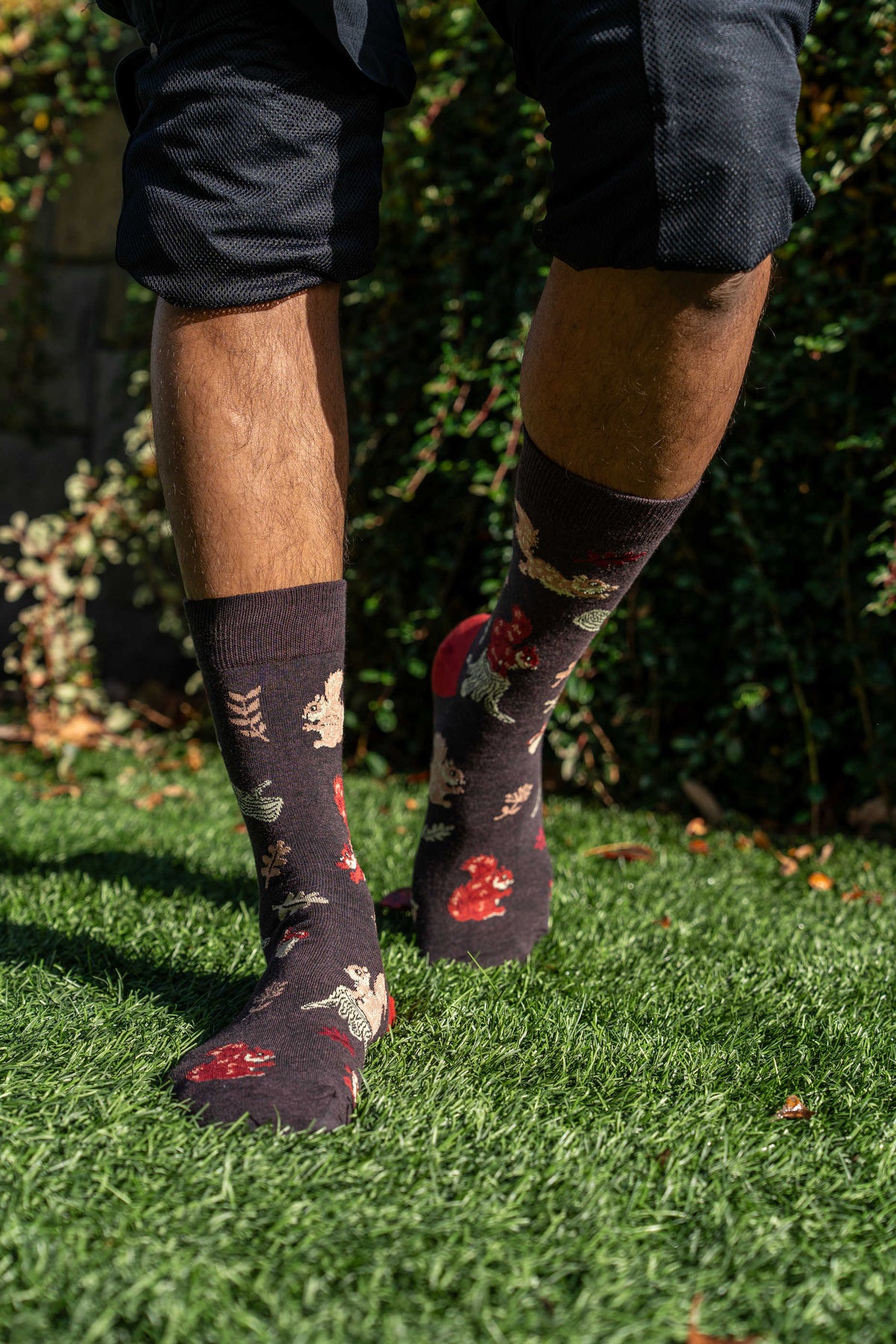 Men's Woodland Squirrel Socks