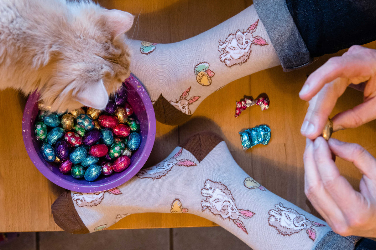 Men's Easter Bunny Eggs Socks
