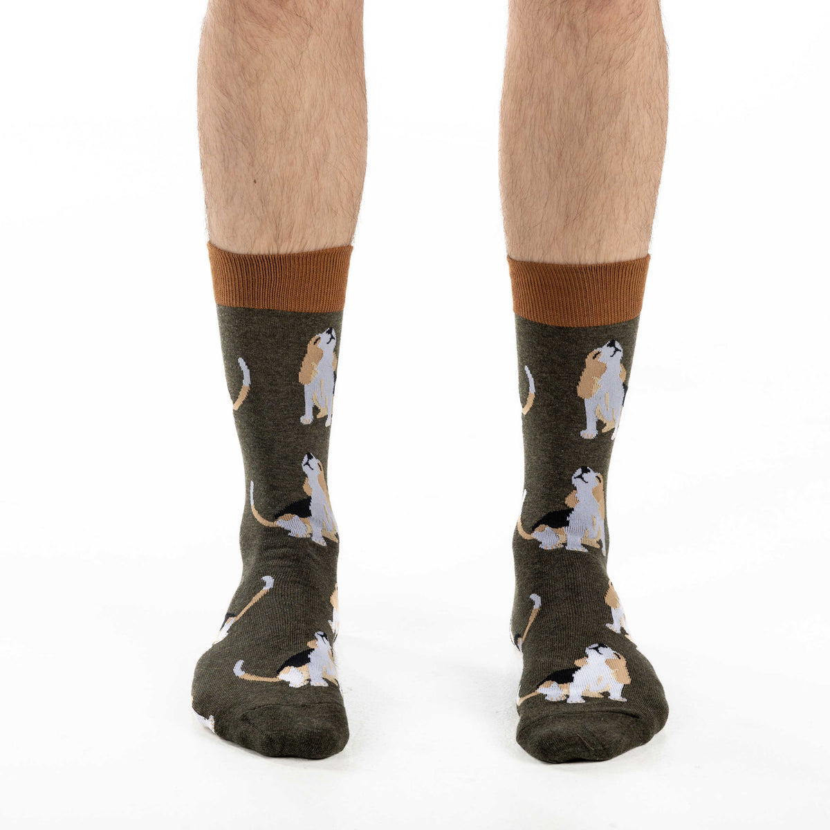 Men's Beagle Dog Socks