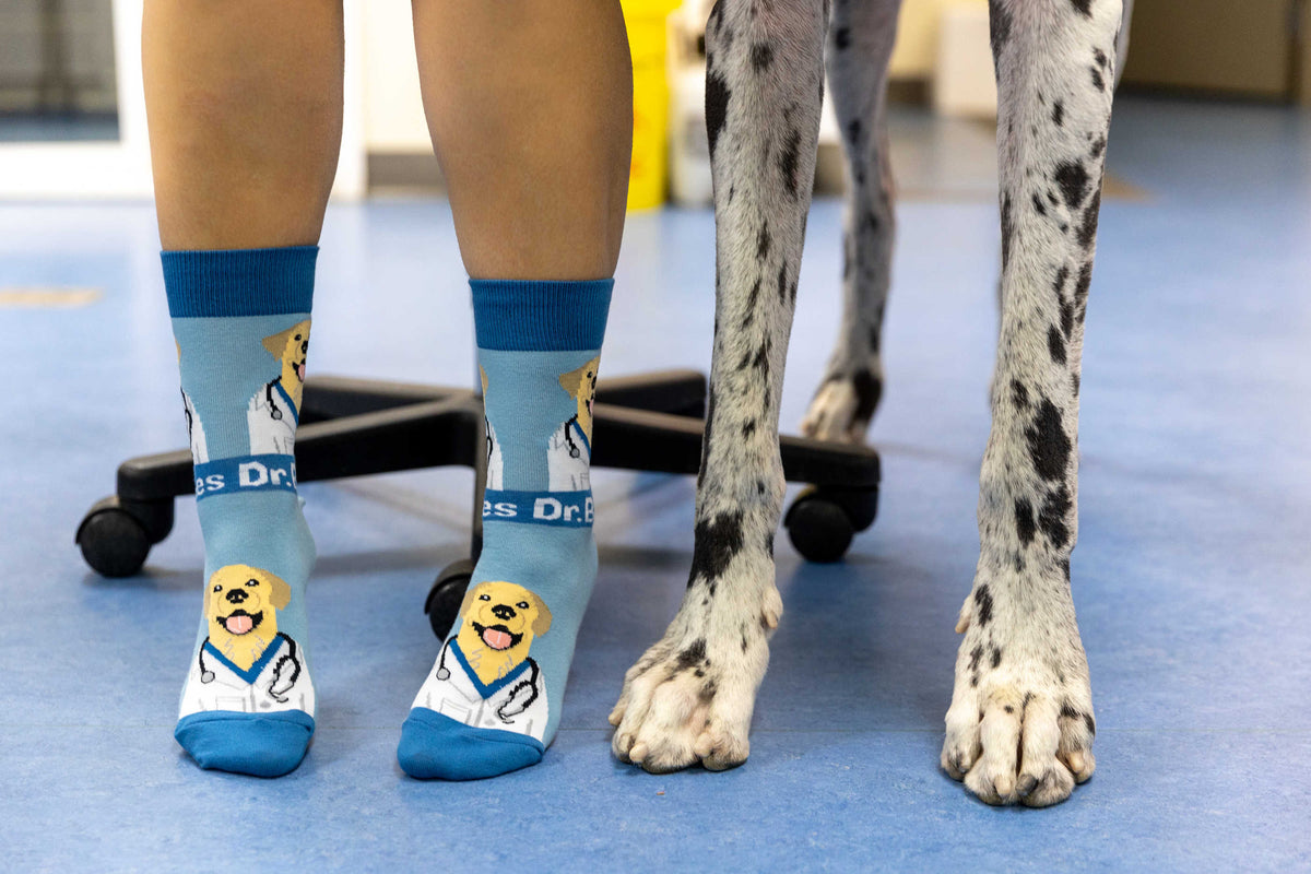 Women's Dr. Bones Socks