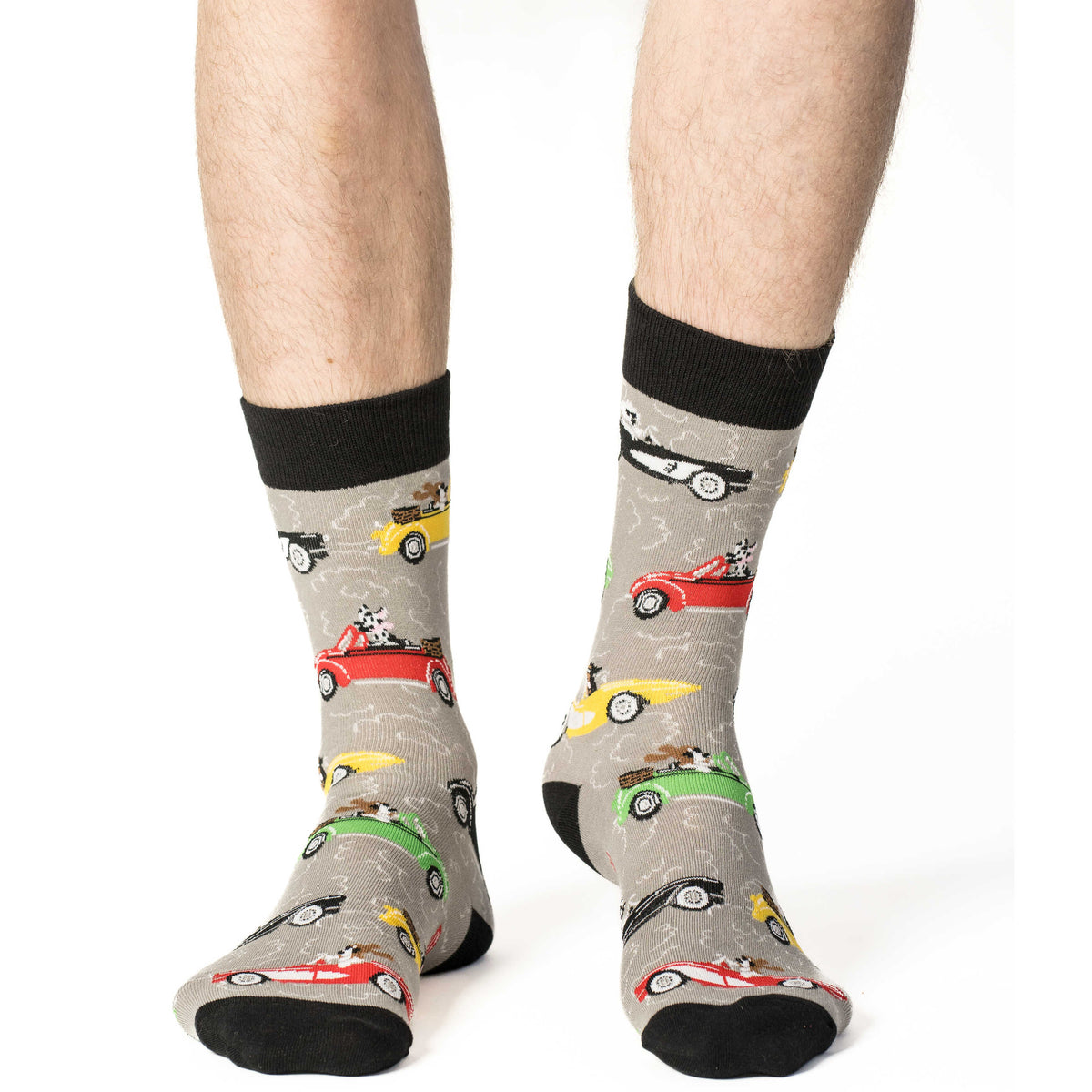 Men's Dogs Driving Cars Socks