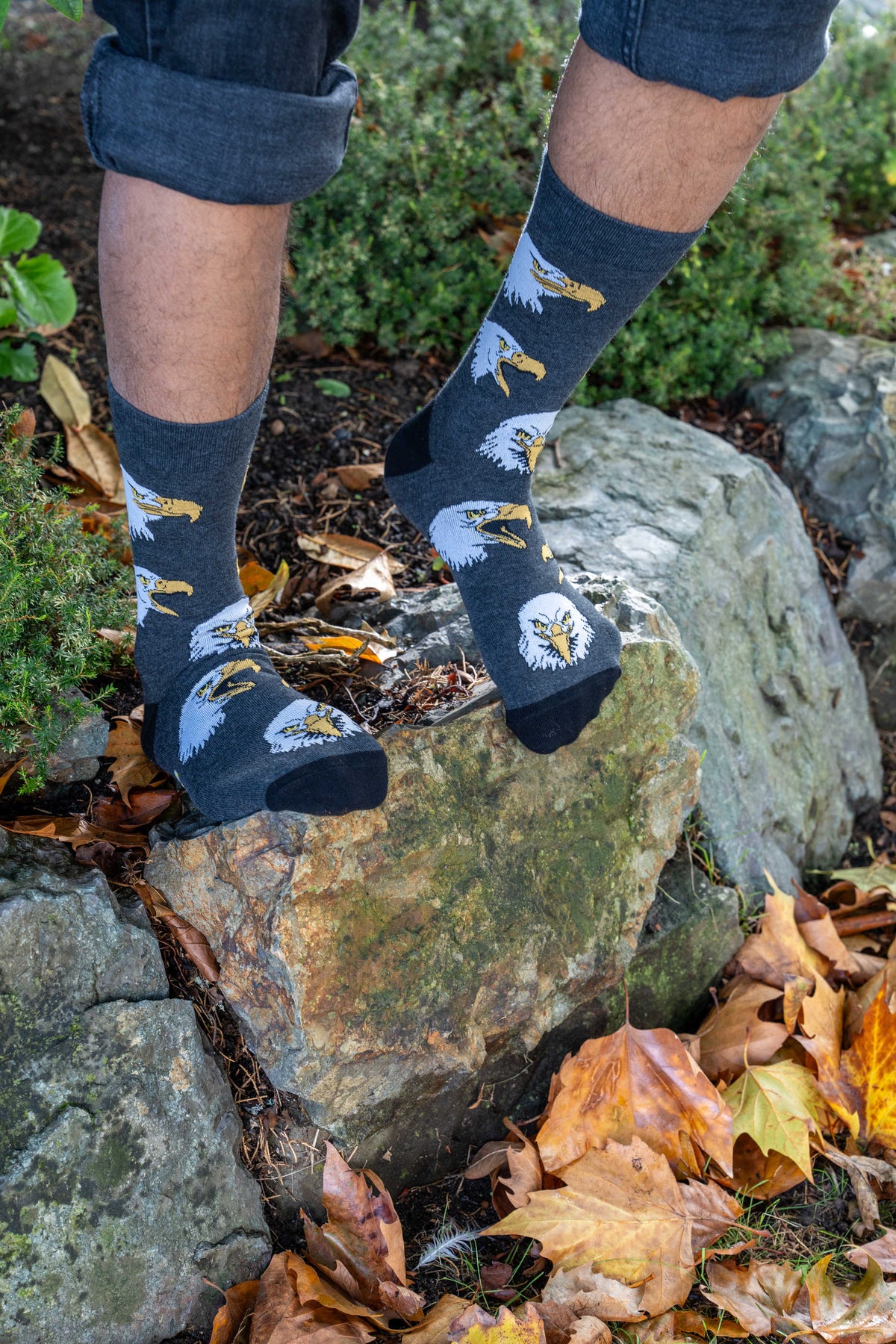 Men's Bald Eagle Socks