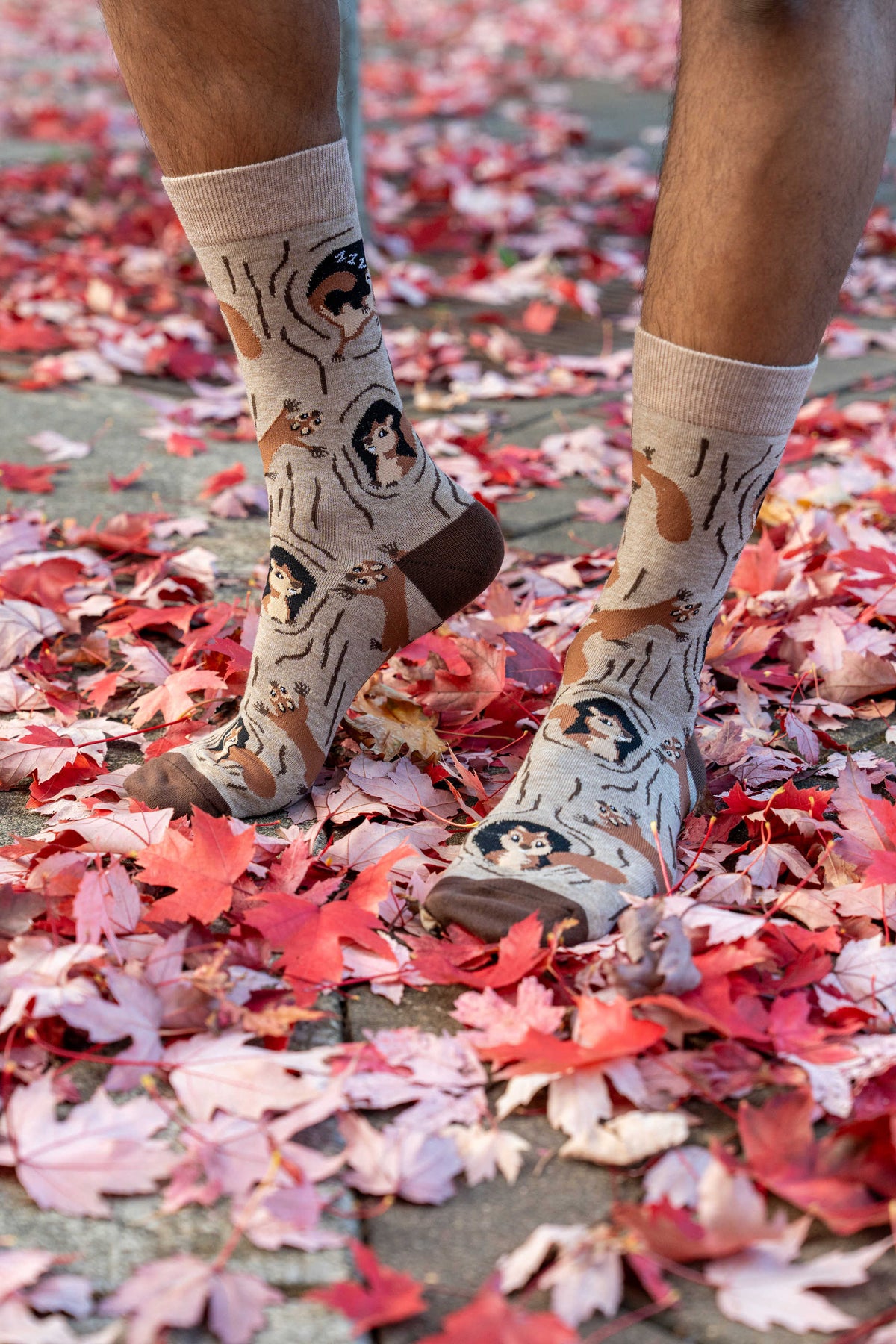 Men's Squirrels in Tree Socks