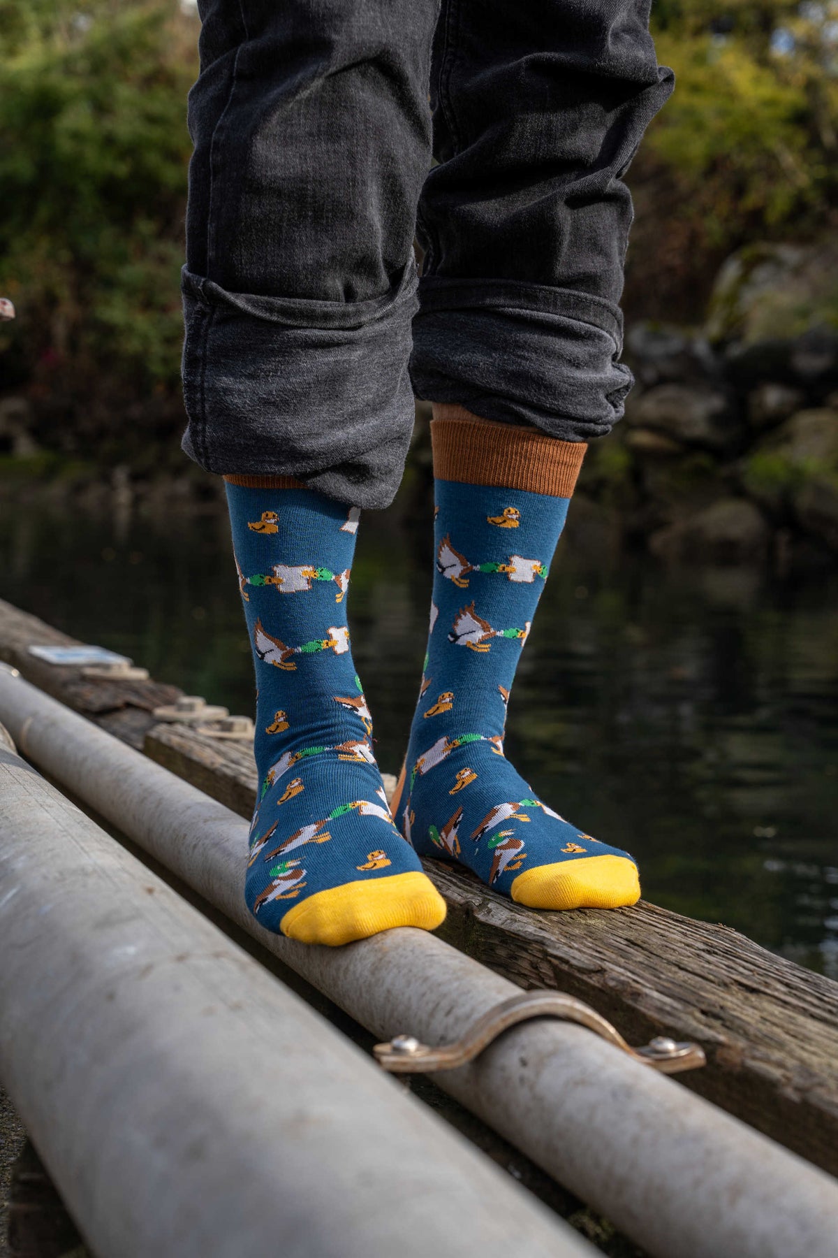 Men's Ducks & Bread Socks