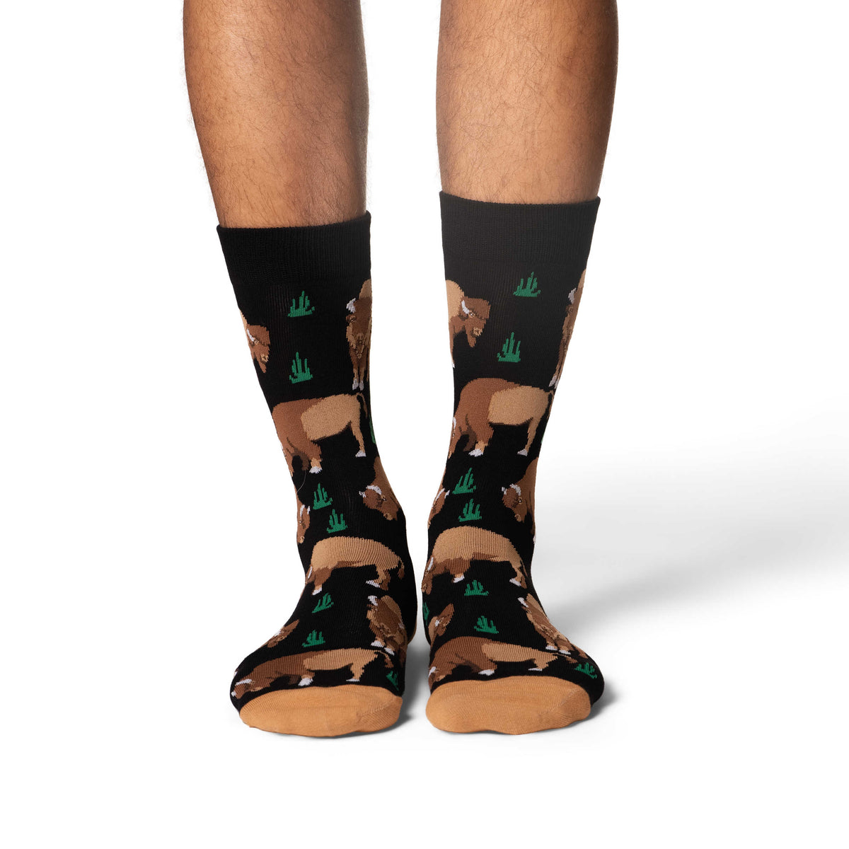 Men's Bison Socks