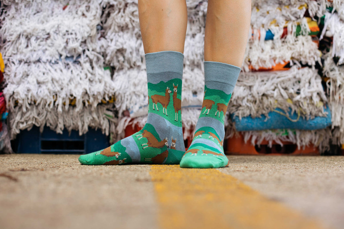Women's Prairie Llama Socks