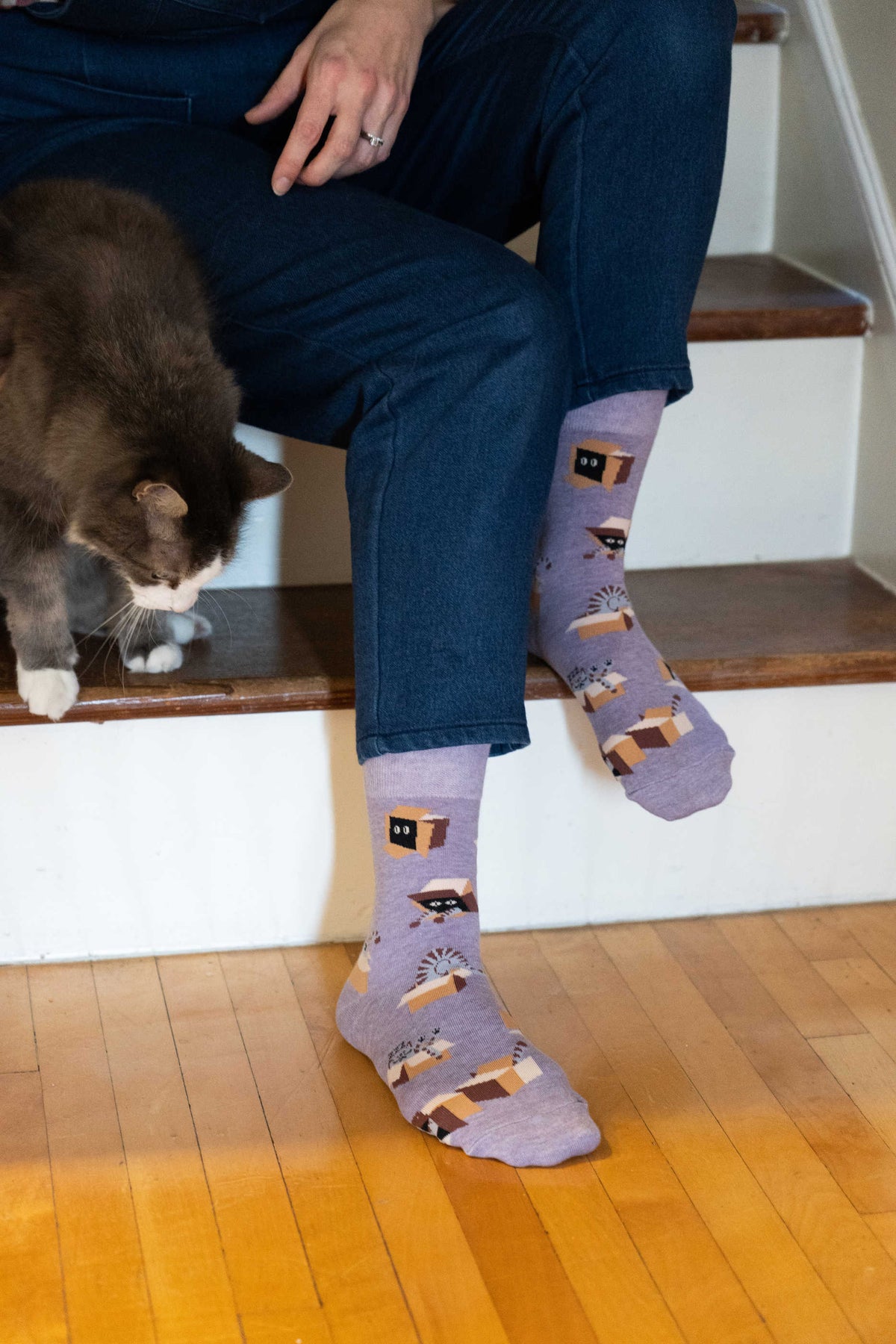 Women's Cat in a Box Socks