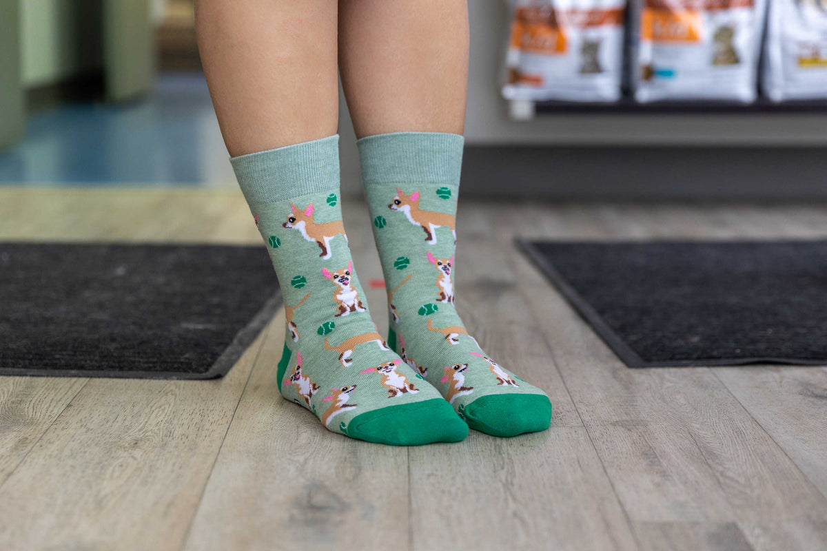 Women's Chihuahua Dog Socks
