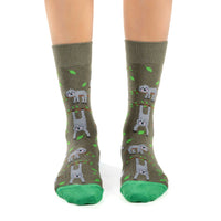 Women's Sloths Hanging Out Socks