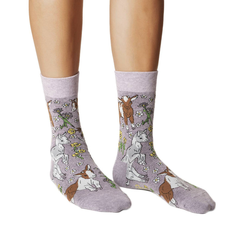 Women's Baby Goats Socks