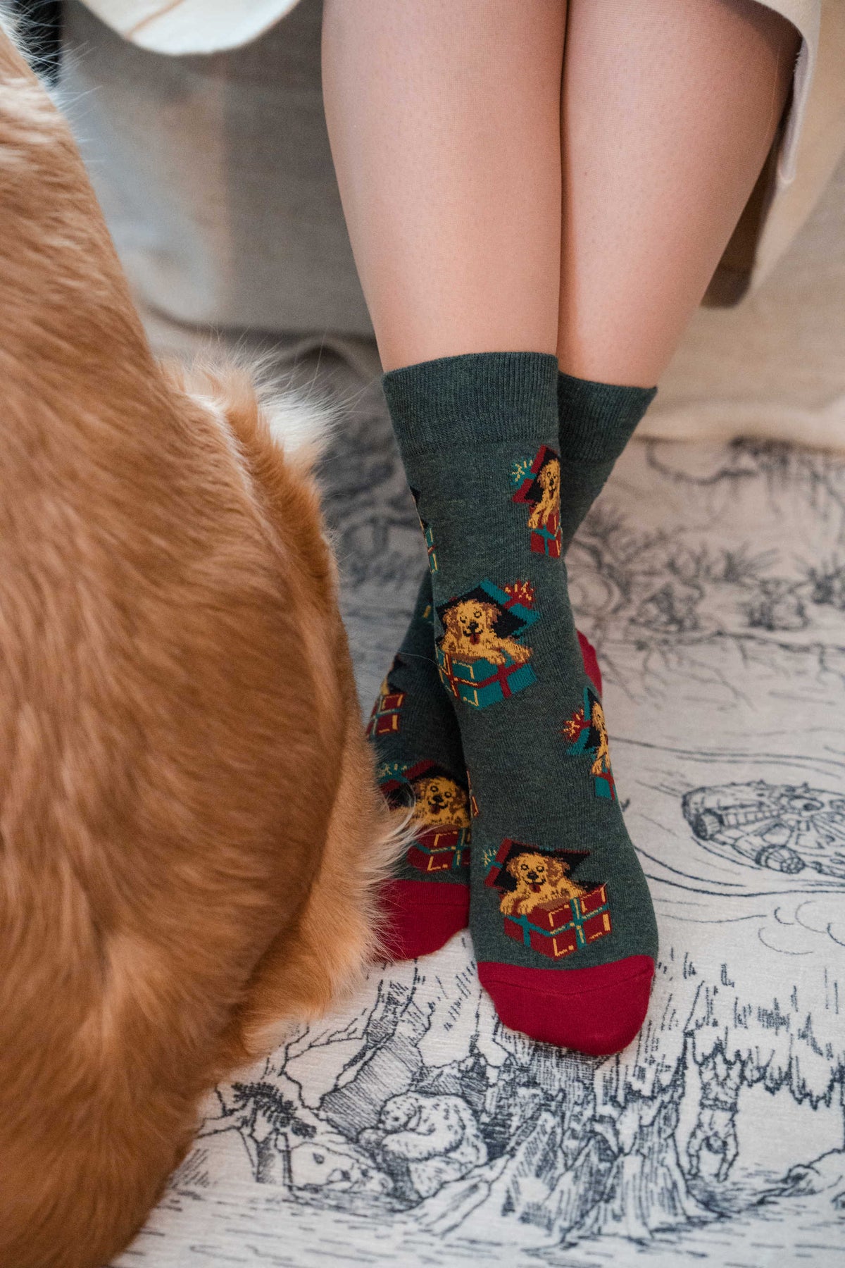 Women's Christmas Puppy Presents Socks