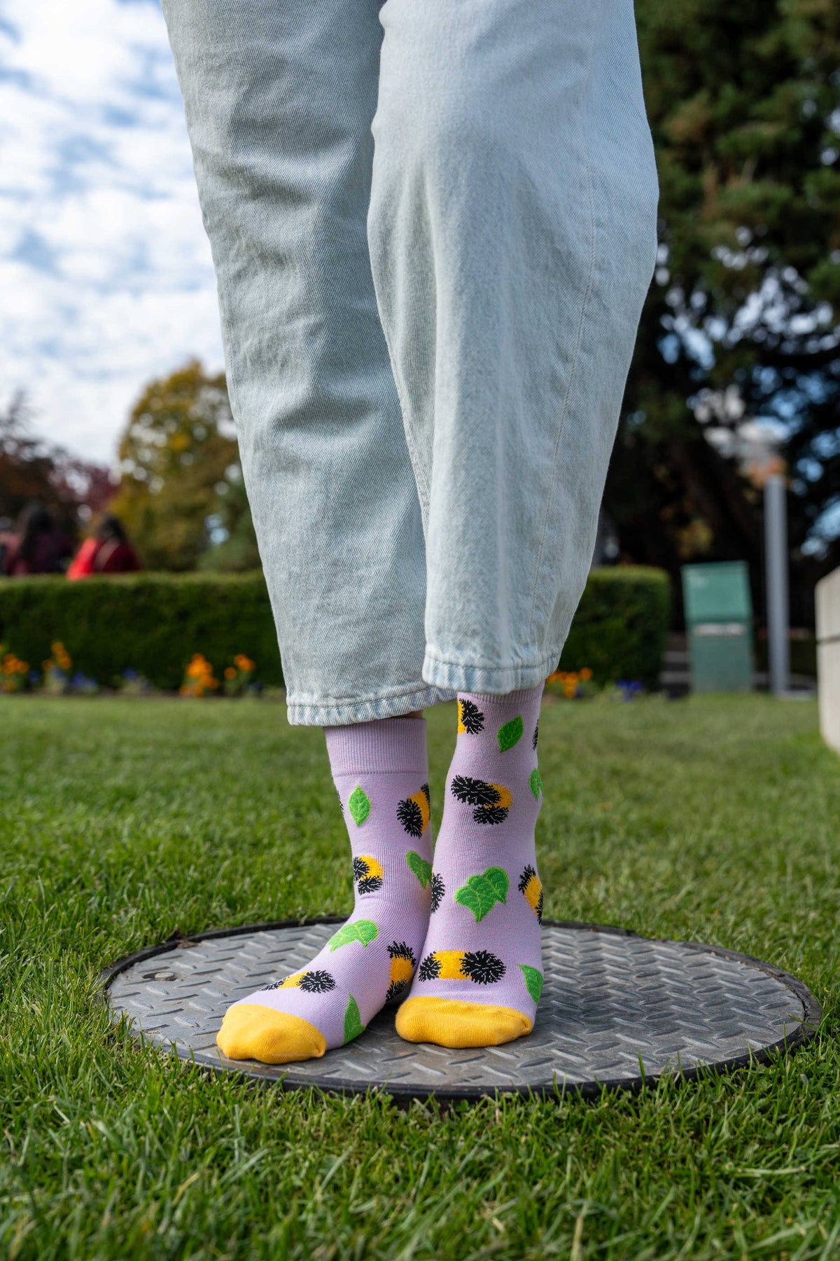 Women's Fuzzy Caterpillars Socks