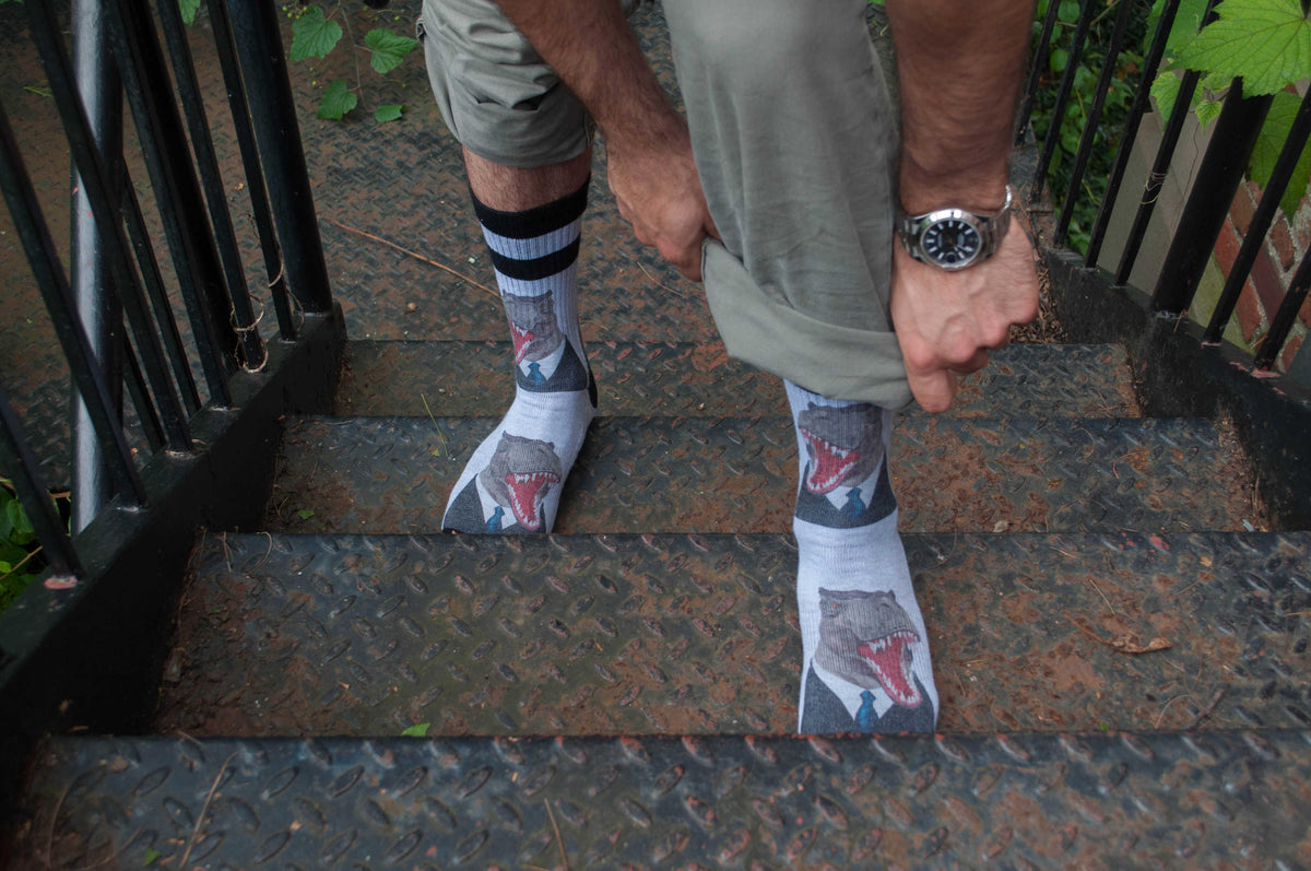 Men's Mr. T-Rex Socks