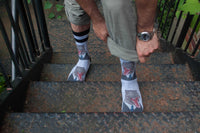 Men's Mr. T-Rex Socks