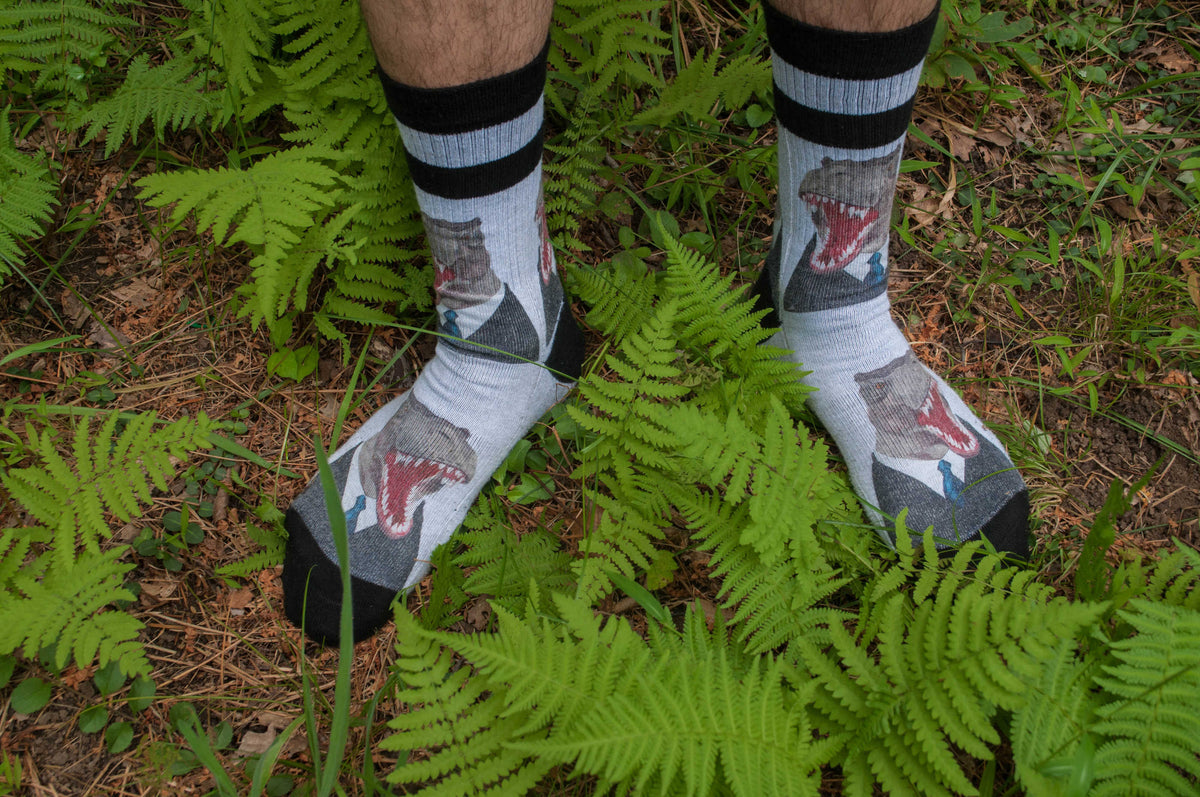 Men's Mr. T-Rex Socks