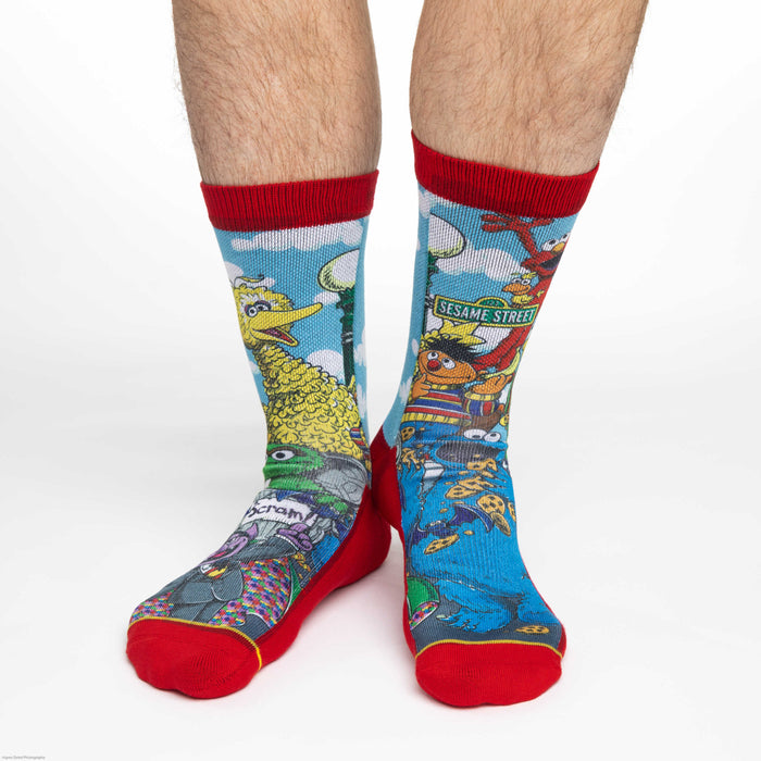 Men's Sesame Street, Family Socks