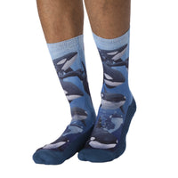 Men's Pod of Orcas Socks