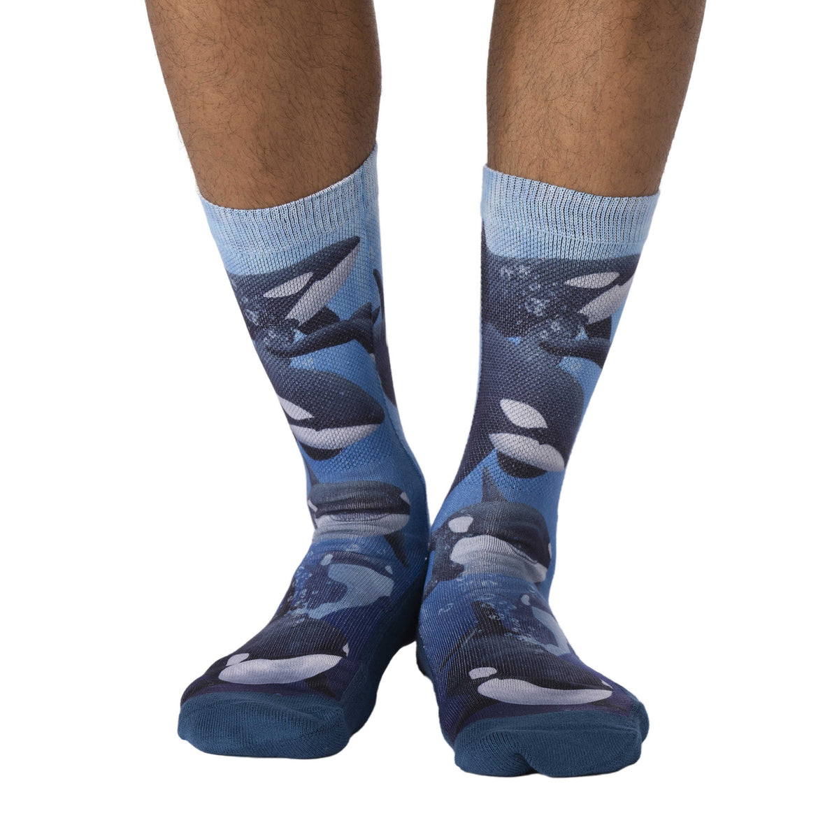 Men's Pod of Orcas Socks
