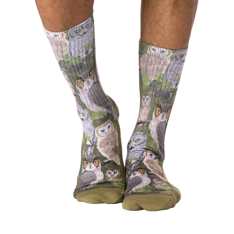 Men's Staring Owls Socks