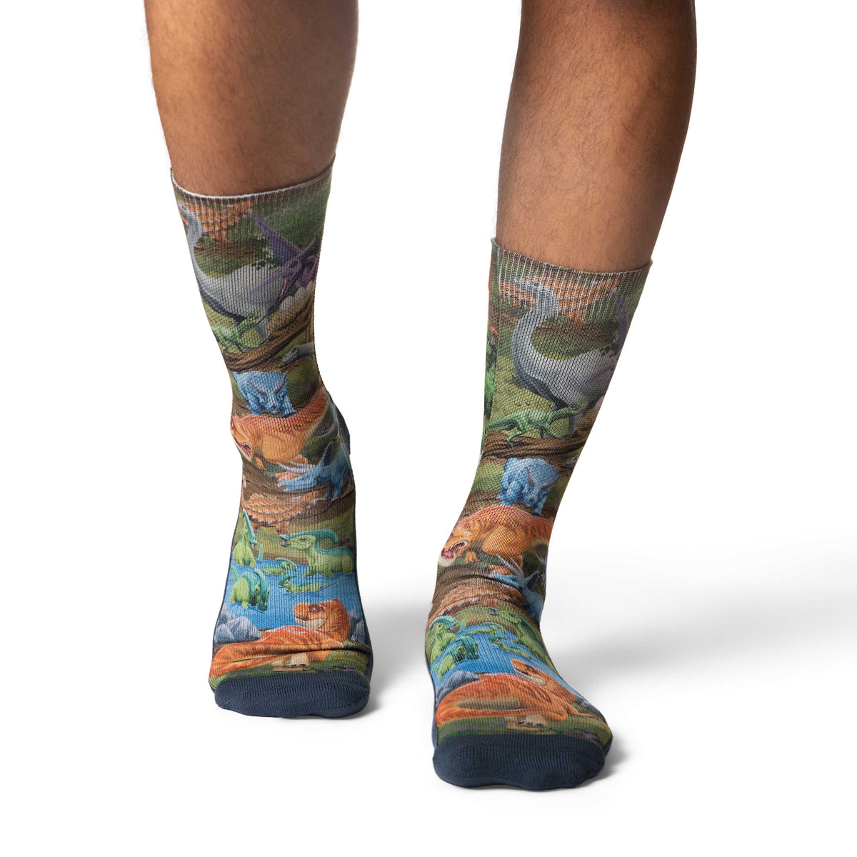Men's Dinosaur World Socks