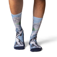 Men's Breaching Orcas Socks