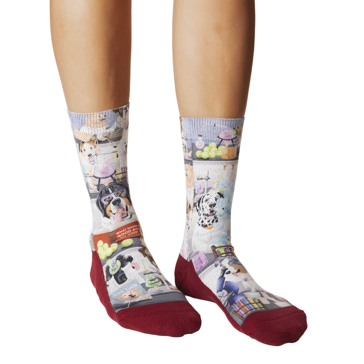 Women's Science Dogs Socks