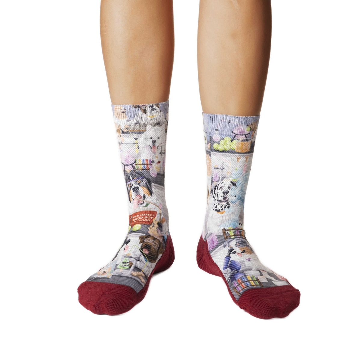 Women's Science Dogs Socks