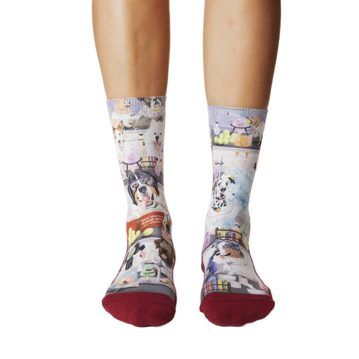 Women's Science Dogs Socks