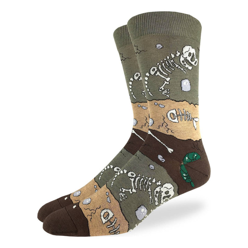Men's Dinosaur Fossil Layers Socks