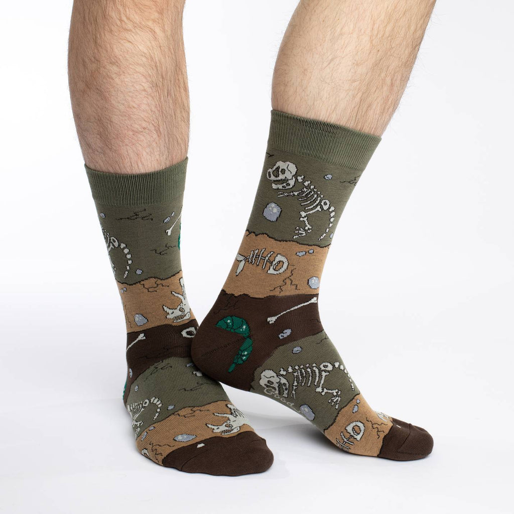 Men's Dinosaur Fossil Layers Socks