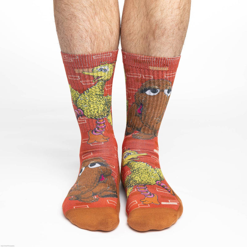 Men's Big Bird and Snuffleupagus Socks