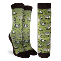 Women's American Badgers Socks