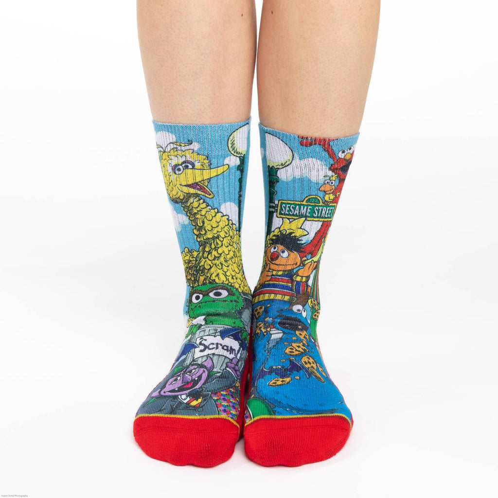 Women's Sesame Street Family Socks