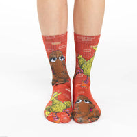 Women's Big Bird and Snuffleupagus Socks