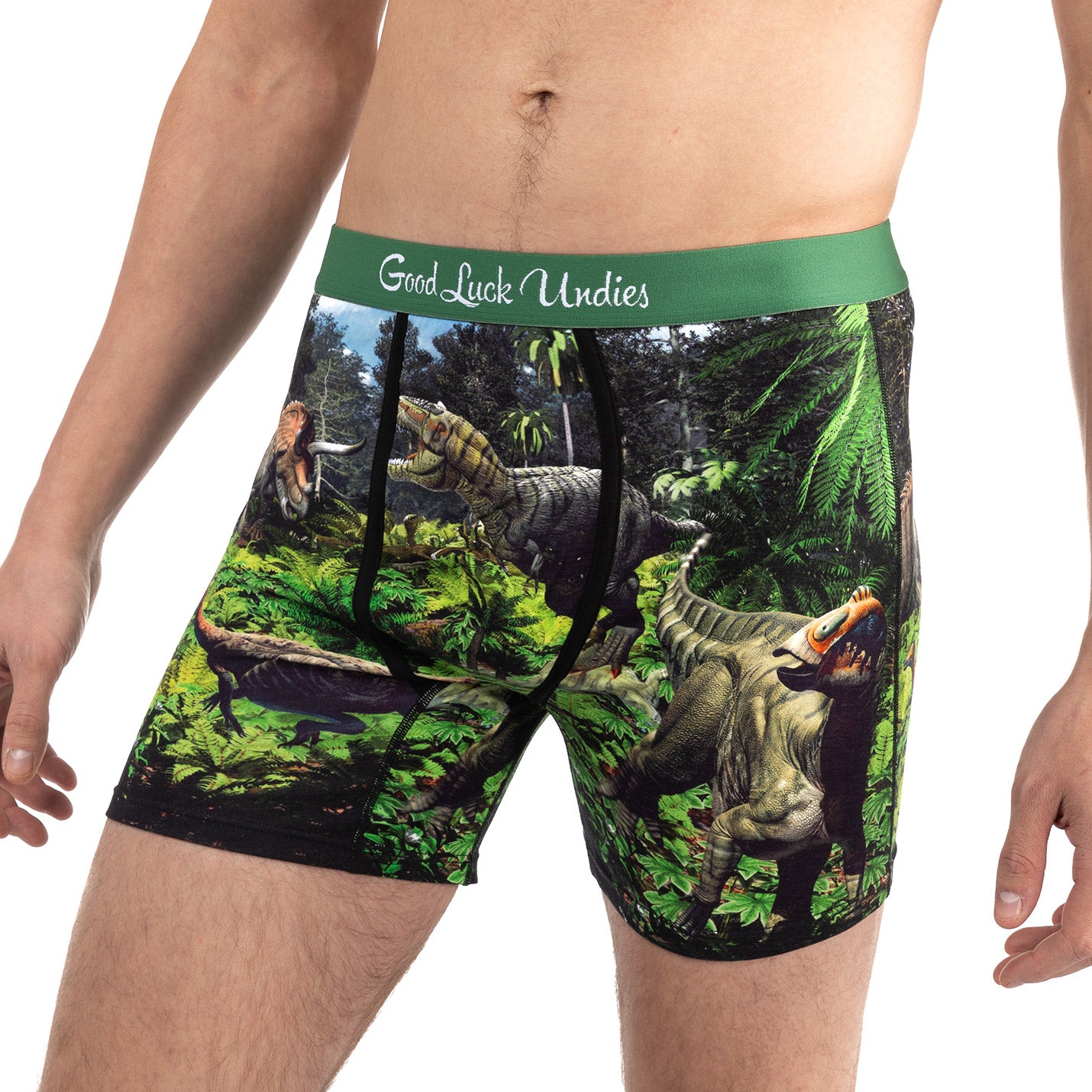 Men s Dinosaur Valley Underwear