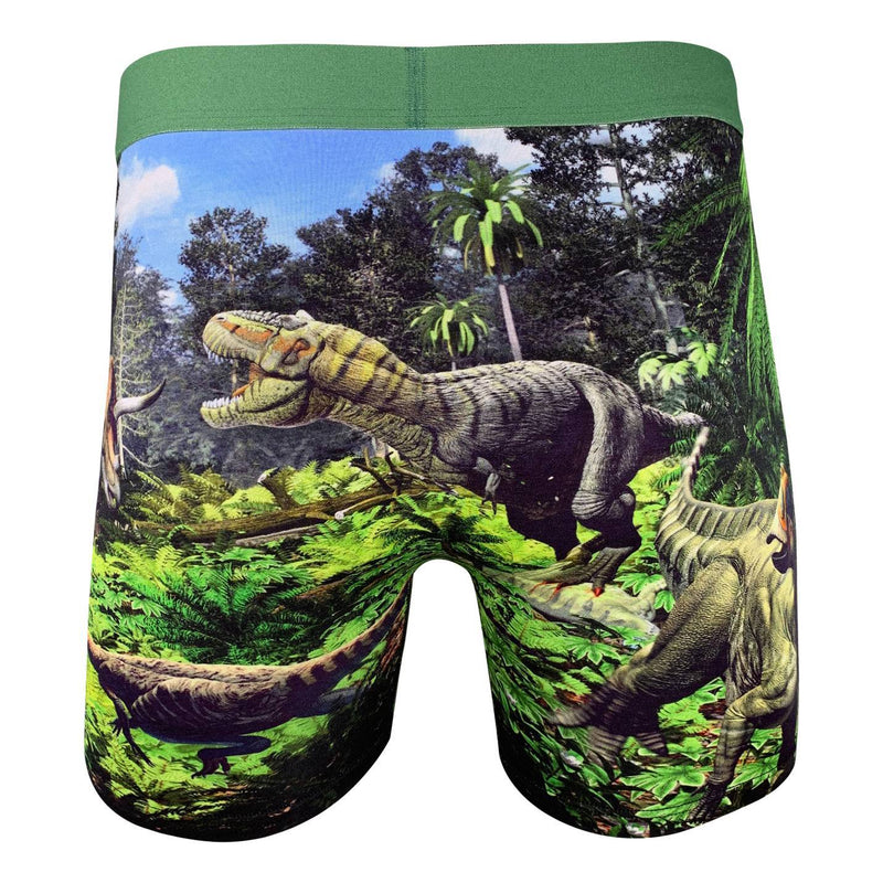 Men's Dinosaur Valley Underwear – Good Luck Sock
