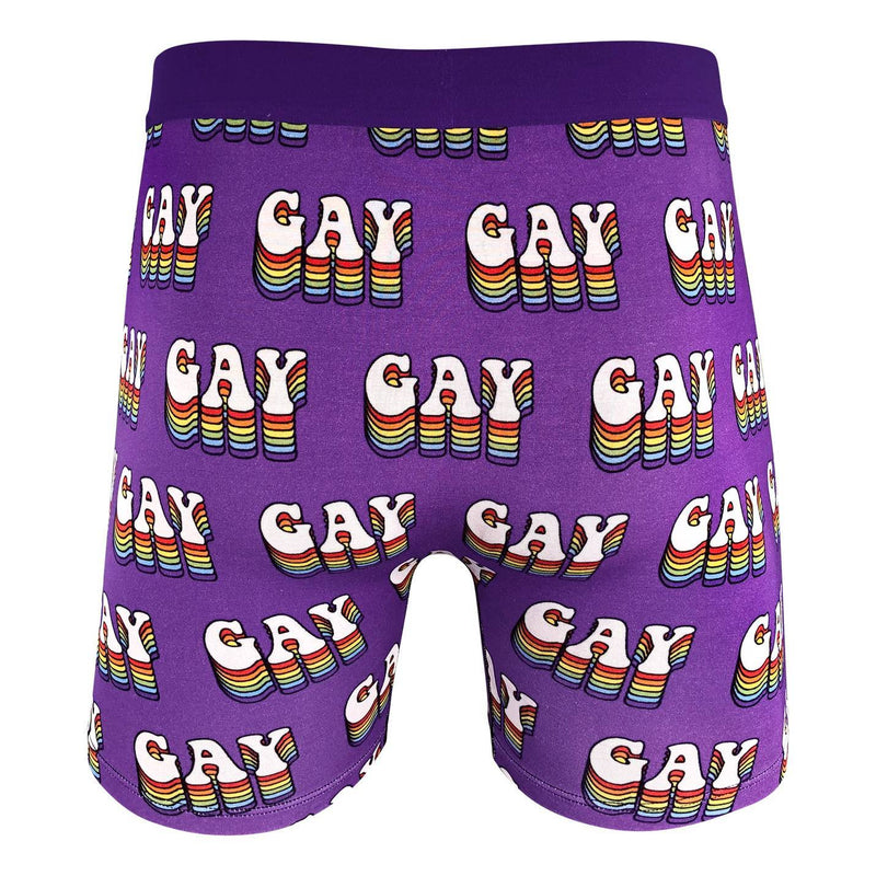 Super Soft Men's Pride Boxer Briefs | Breathable Gay Pride Underwear with  Moisture-Wicking Fabric