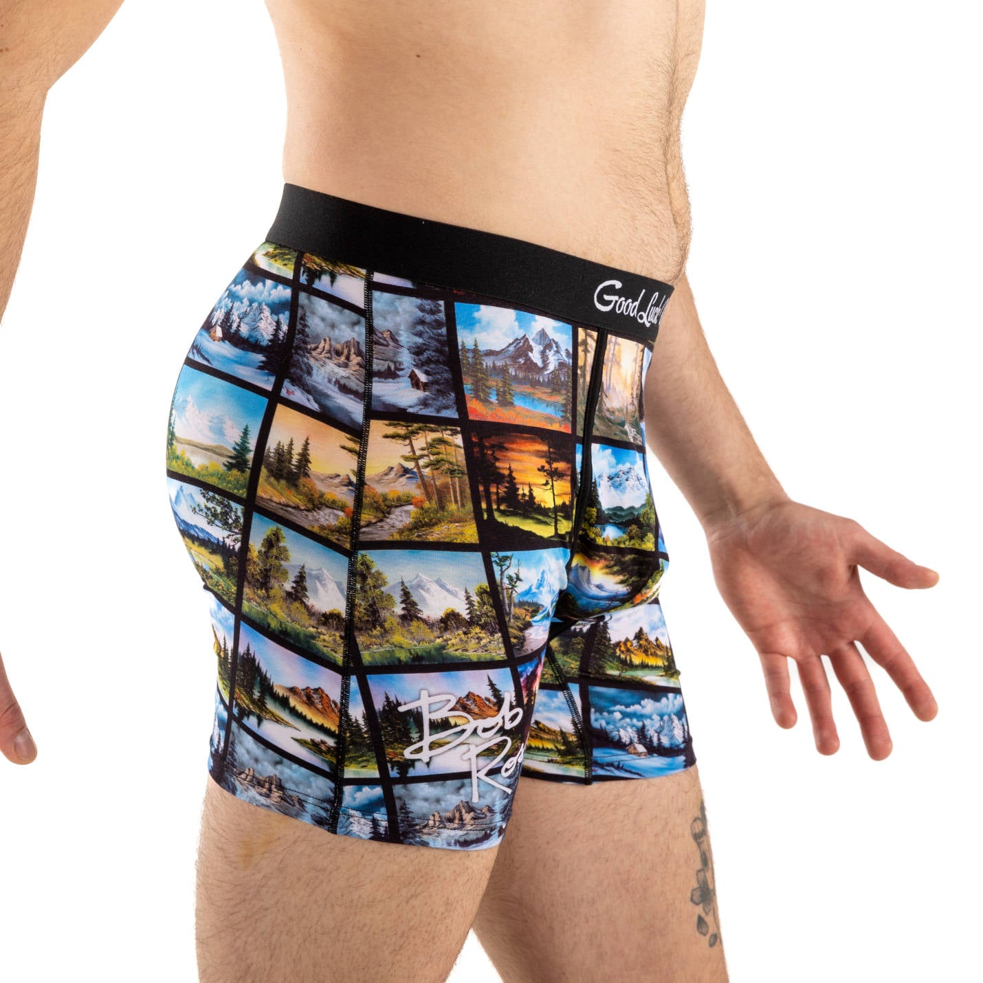 Men s Bob Ross Landscapes Collage Underwear